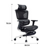 Juni Ergonomic Office Chair dimensions and specifications — Singapore