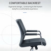Ergonomic Contoured Backrest Eloise Ergonomic Office Chair Singapore| Body Fit Support Infographic