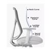 Anais Ergonomic Office Chair Singapore — free delivery & professional installation