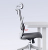 Ottilie Ergonomic Office Chair dimensions and specifications — Singapore