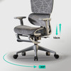 Daryna Ergonomic Office Chair height adjustable