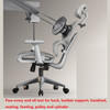 Daryna Ergonomic Office Chair Pass all test