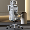 Daryna Ergonomic Office Chair Grey Back View