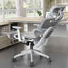 Daryna Ergonomic Office Chair Reclination posture