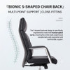 Hector Leather Office Chair Singapore S-shaped bionic backrest fits natural spinal curve