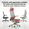 Lila High-Back Ergonomic Office Chair by Linear Furnishings