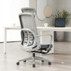 Charlotte High-Back Ergonomic Office Chair by Linear Furnishings