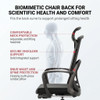 Charlotte High-Back Ergonomic Office Chair by Linear Furnishings