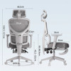 Samuel High-Back Ergonomic Executive Office Chair