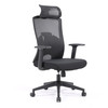 Side profile of Ryan High-Back Ergonomic Chair, highlighting fixed black PP lumbar pad, moulded PU foam seat (35kg/m³) over 11-ply eucalyptus plywood, and 135-degree ergonomic recline.