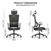 James  Ergonomic Mesh Chair size chart: Swivel H85-87xW60xD48cm (Seat 48x48cm, H42-52cm) vs Cantilever H103xW59xD50cm (Seat 50x52cm, H45cm), 320mm nylon base, SGS/BIFMA components.