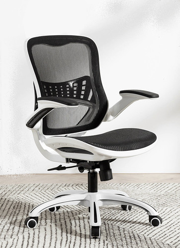 Coraline Mesh Ergonomic Office Chair Image1