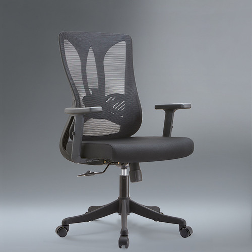 Remy Ergonomic Office Chair Image