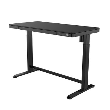 Electric Wooden Top Adjustable Desk ET118W-N