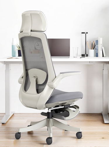 Malin Ergonomic Office Chair Back View