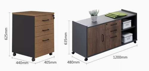 Jung Office Desk with Pedestal