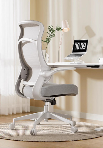 Linn Mesh Ergonomic Office Chair with Swan Design dimensions — Singapore office ergonomic chair