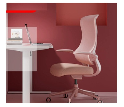 Linn Mesh Ergonomic Office Chair Singapore