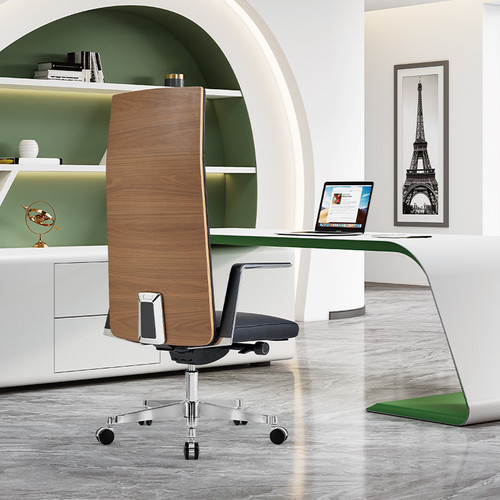 Pioneer Leather Office Chair Backview Singapore