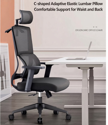 Henry Ergonomic Office Chair Singapore | Four Core Ergonomic Features Overview | Free Delivery Singapore & Peninsular Malaysia
