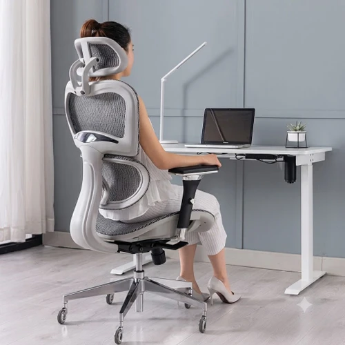 Carter High-Back Ergonomic Executive Office Chair Singapore - Grey Mesh at Standing Desk