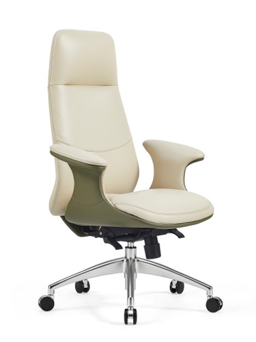 Andrew Leather Ergonomic Chair Front View