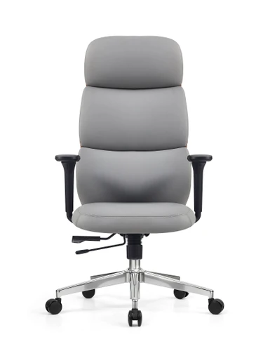 Levi Leather Ergonomic Chair Singapore — Light Grey Leather Front View, Dimensions
