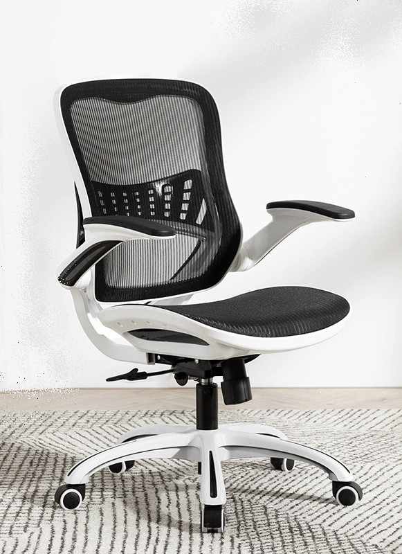 Coraline Mesh Ergonomic Office Chair Image1