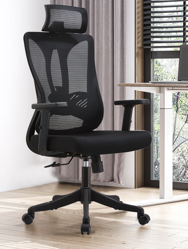 Remy Ergonomic Office Chair Realistic Picture