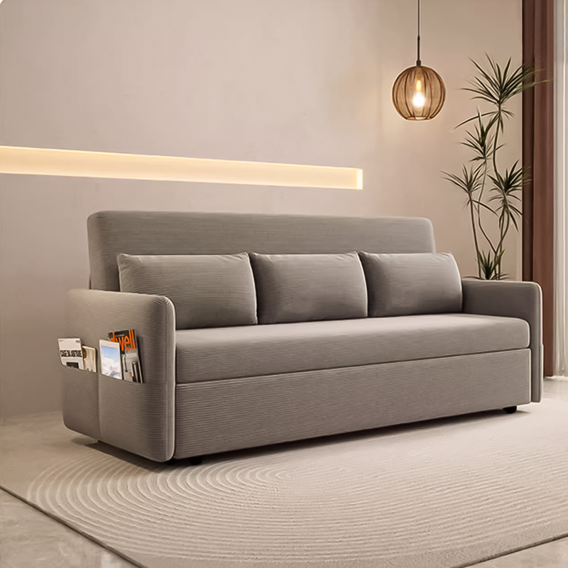 Briggs Storage Sofa Bed in Living Room Scenario Image