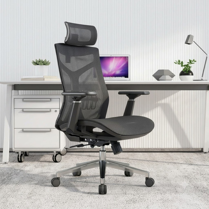 Benjamin High-Back Ergonomic Executive Office Chair by Linear Furnishings
