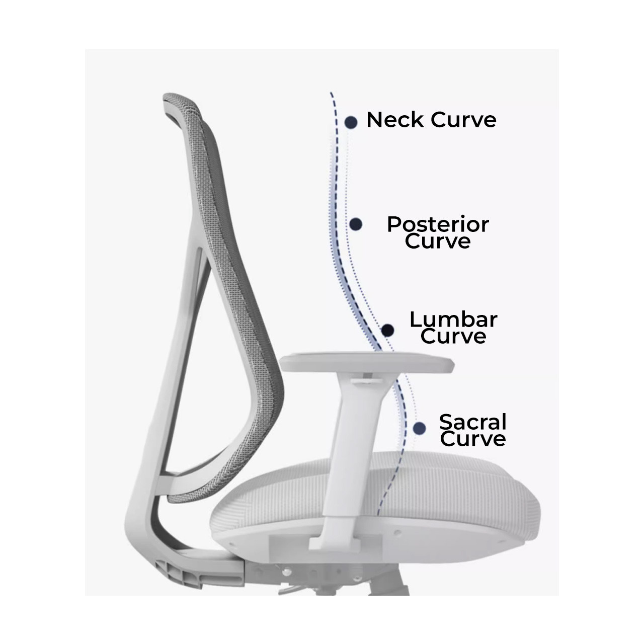 Anais Ergonomic Office Chair - Singapore Ergonomic Office Chair | Linear Furnishings Anais Ergonomic Office Chair - Singapore Ergonomic Office Chair | Linear Furnishings