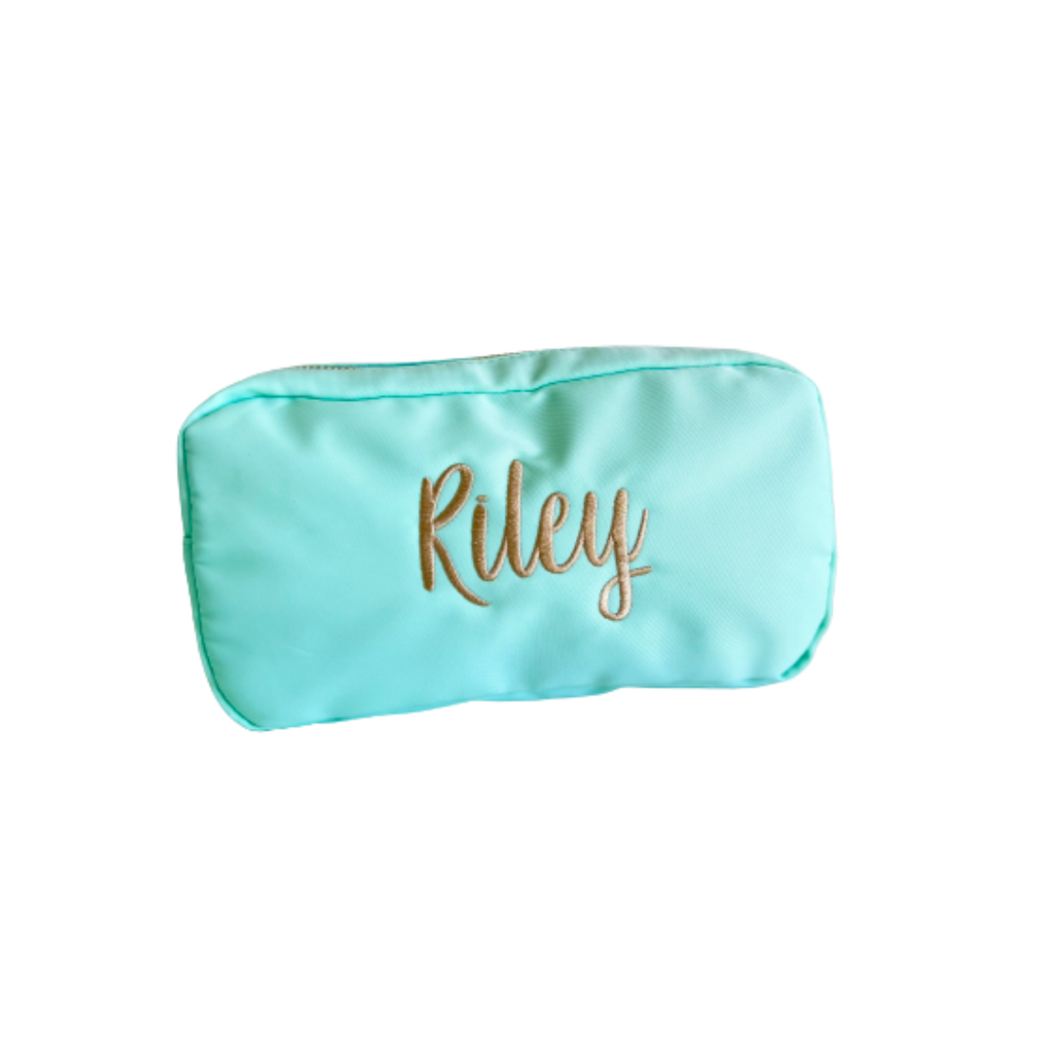 Mint Medium Nylon Pouch