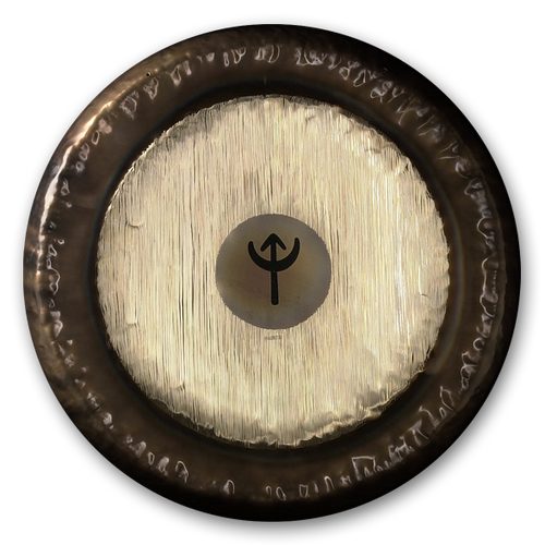 Pasite 24 Plan. Gong G#2 Neptun