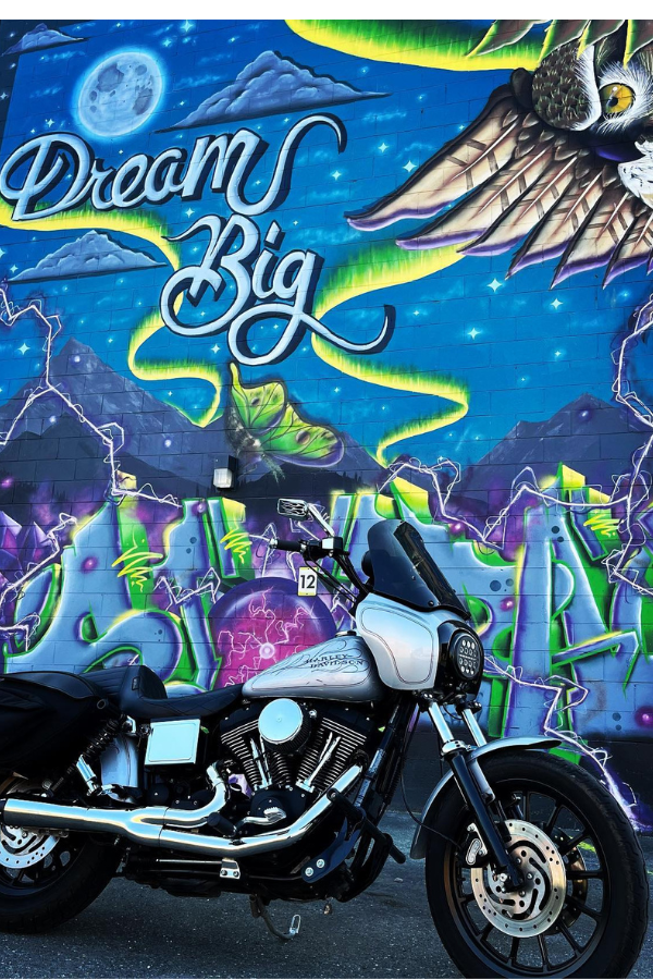 Dream Big Harley-Davidson motorcycle windshields for sportsters, dynas, fat boys, low riders