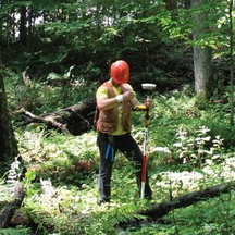 "Trimble Technology Helps Researchers Get to the Root of Classifying Individual Trees!" "Trimble Technology Helps Researchers Get to the Root of Classifying Individual Trees!"