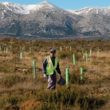 "How Geospatial Technology Boosts Efforts to Restore Degraded Lane & Create New Forests!" "How Geospatial Technology Boosts Efforts to Restore Degraded Lane & Create New Forests!"