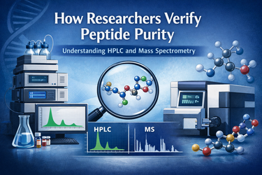 How Researchers Verify Peptide Purity: Understanding HPLC and Mass Spectrometry