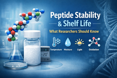 Peptide Stability and Shelf Life: What Researchers Should Know