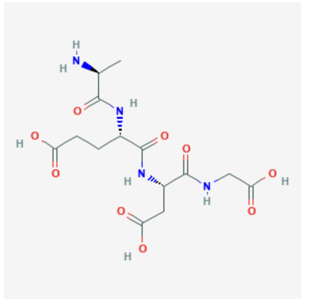 Epithalon Structure