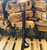 Daniel Defense DDM4 V5 AR-15 rifle chambered in 5.56 NATO with 16 inch cold hammer forged barrel and DDM4 rail pointing upwards