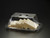Acrylic Bread/ Muffin Tray w/ Cover