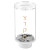 Lucite Tzedoka Box Clear - Gold Tinted Text BY CAESAREA