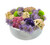 White Sedum Pot Floral Decor