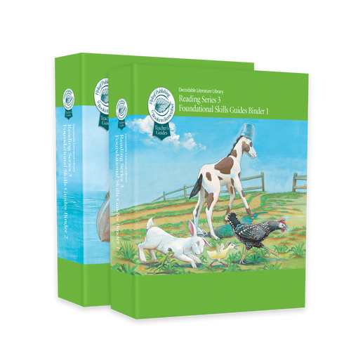 Reading Series Three Foundational Skills Teacher's Guide