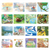 Reading Series Three Book Covers