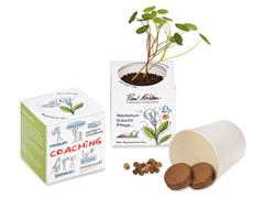 Wachstumswürfel - Samenset