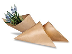 Das blaue Wunder - Muscari (ohne Werbedruck)