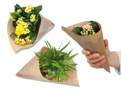 Blumengrüße aus der Mini-Tüte (mit Werbedruck)