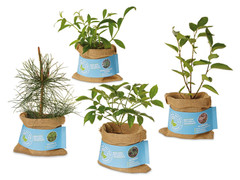 Schenk der Erde eine Pflanze